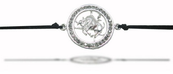 Zodiac Jewelry Bracelet