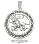 zodiac jewelry pendant