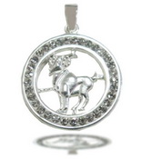 silver Zodiac